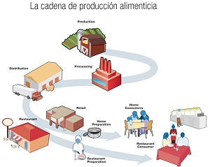 Cadena de producción de los alimentos