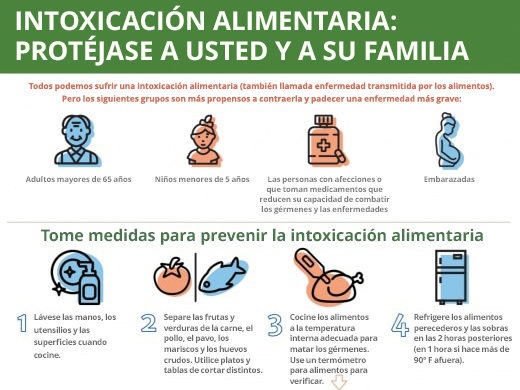 Factores clave sobre la intoxicación alimentaria 